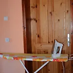 Puma *