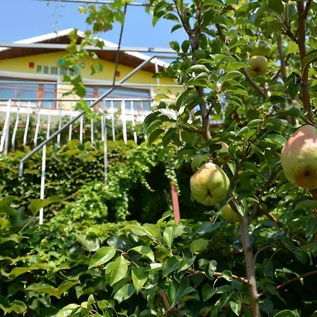 Puma Holiday home Balchik