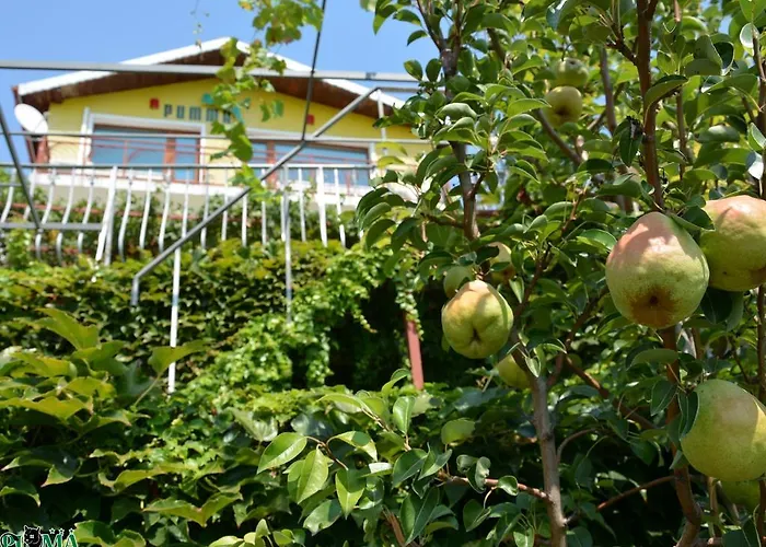 Puma Holiday home Balchik