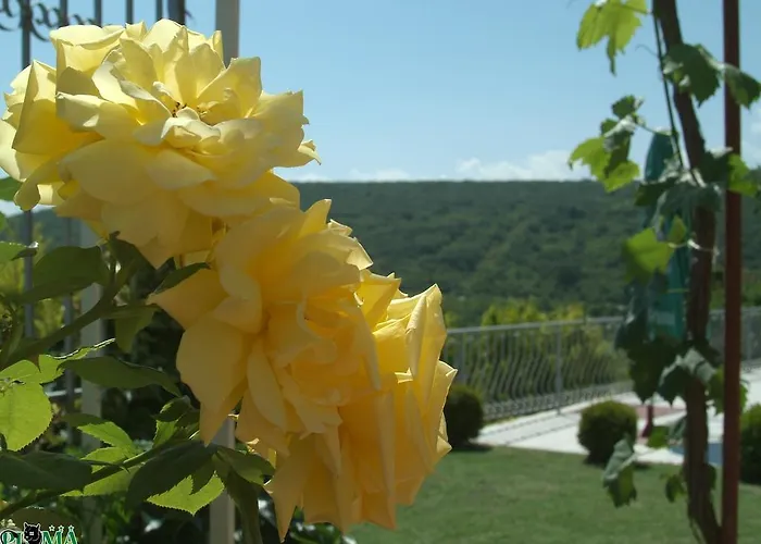 Holiday home Puma Balchik