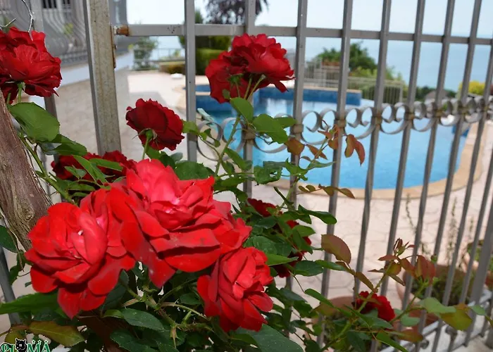 Puma Holiday home Balchik